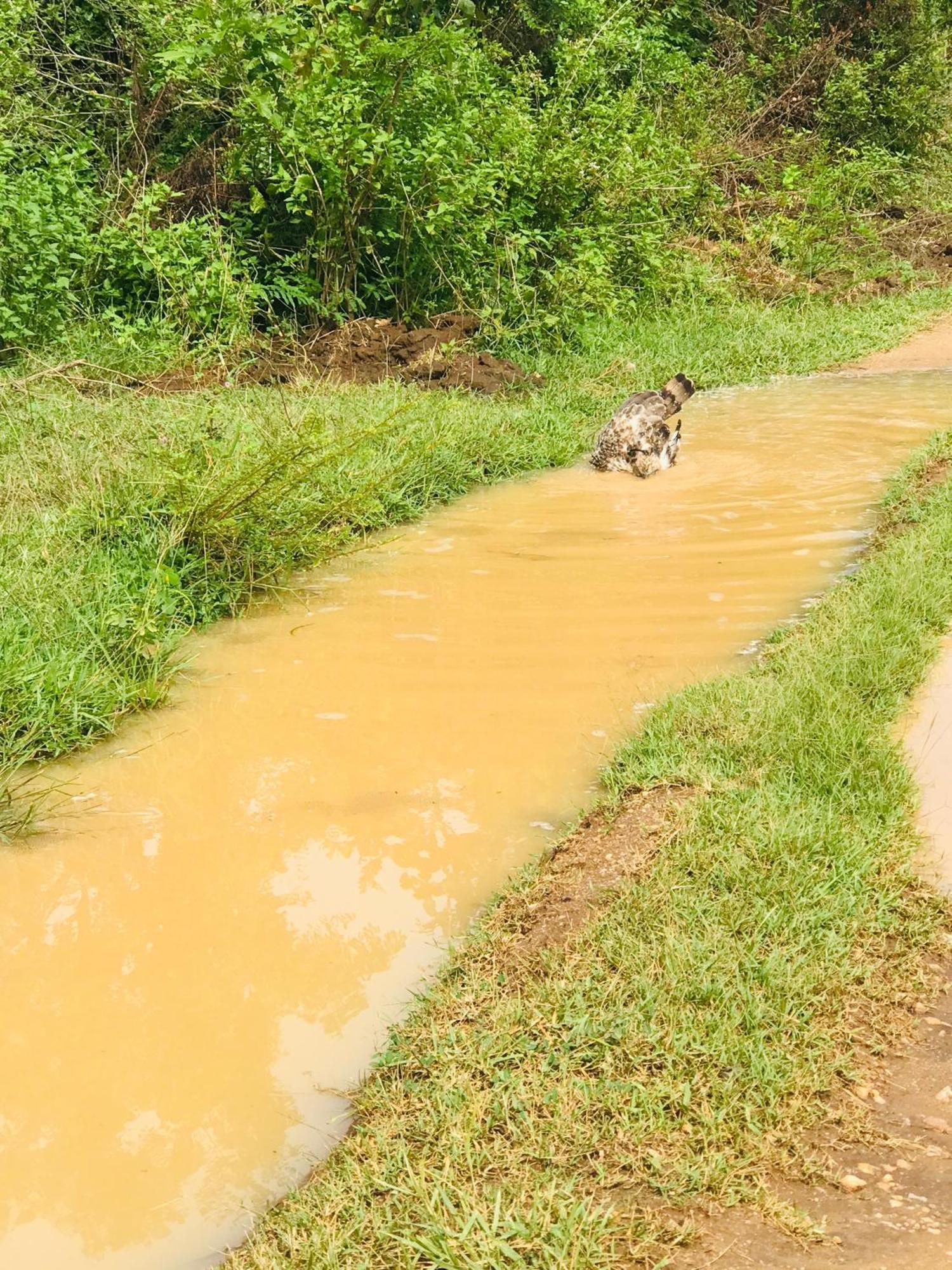 Nature Park อุดาวาลาเว ภายนอก รูปภาพ